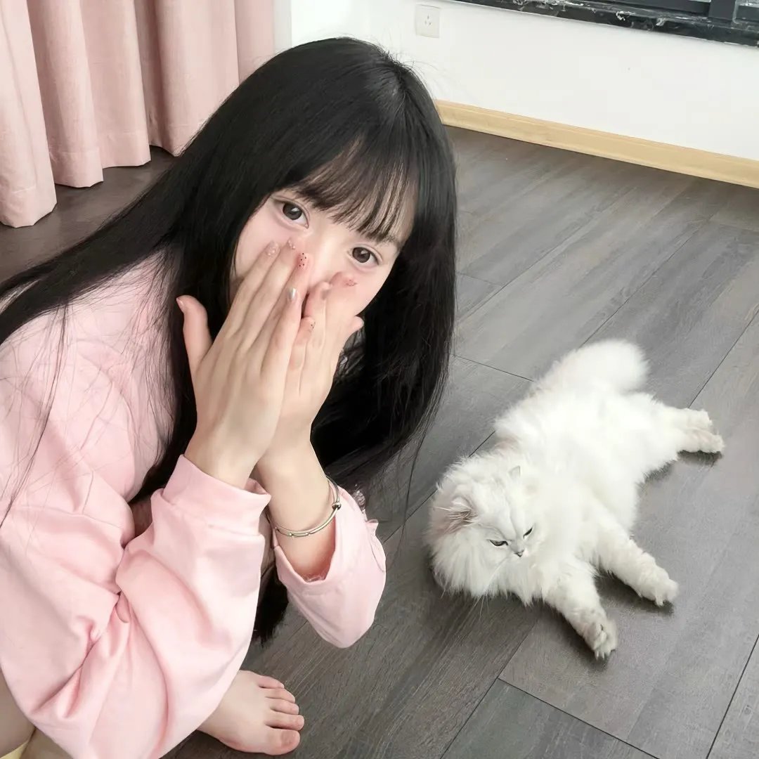 苏乞儿